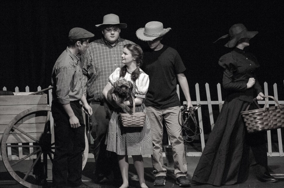 Wizard of Oz (2015), photo 28 of 31
