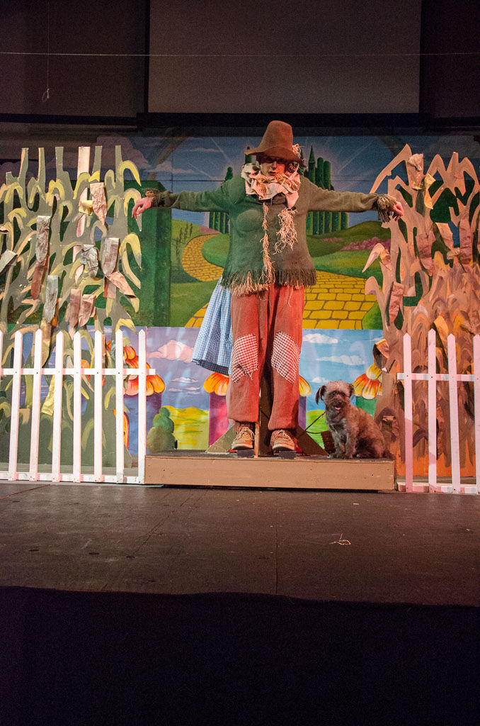 Wizard of Oz (2015), photo 23 of 31