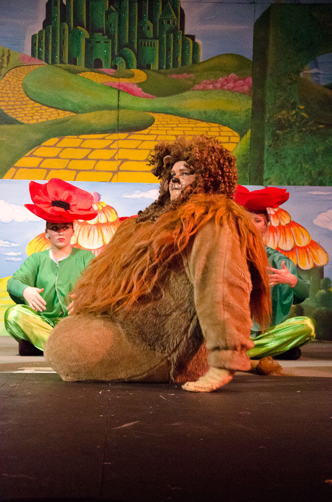 Wizard of Oz (2015), photo 14 of 31