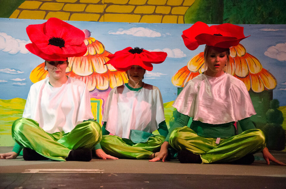 Wizard of Oz (2015), photo 15 of 31
